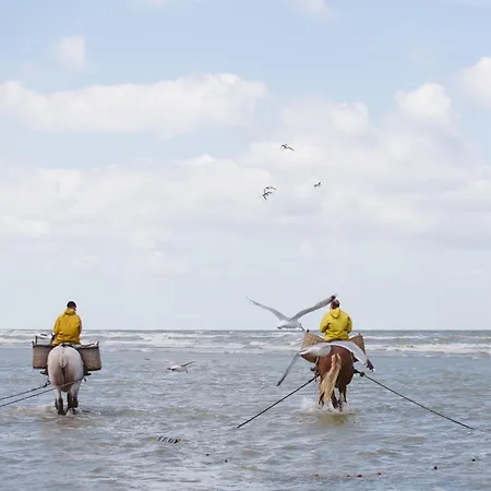 In Belgium Near & Dunes Casa vacanze Oostduinkerke