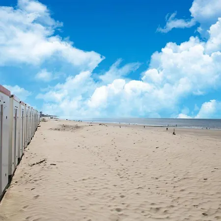 In Belgium Near & Dunes