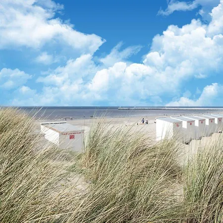 In Belgium Near & Dunes Oostduinkerke