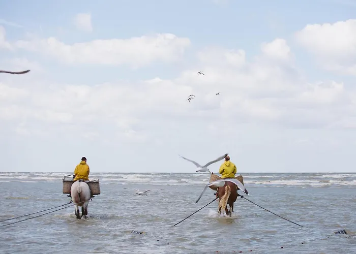 In Belgium Near & Dunes Tatil Evi Oostduinkerke