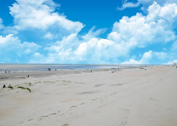 In Belgium Near & Dunes Tatil Evi