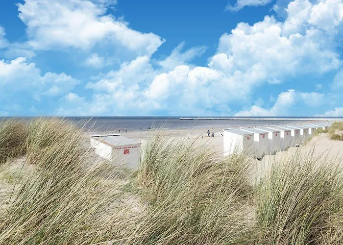 In Belgium Near & Dunes Oostduinkerke